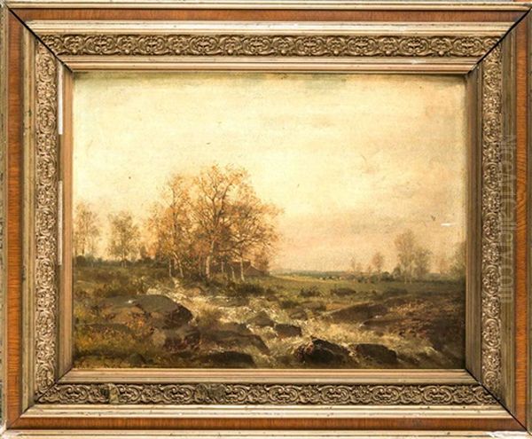 Herbstliche Landschaft Mit Wildbach - view 1