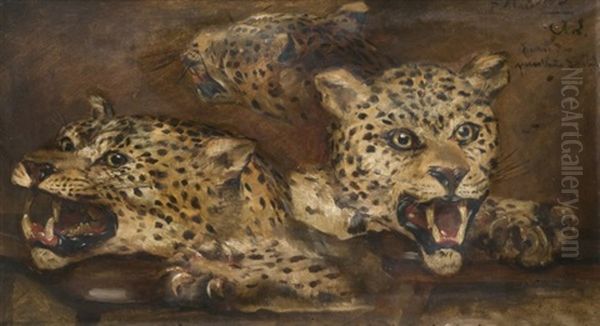 Trois Tetes De Pantheres (study) - view 1