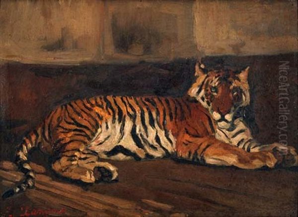 Ruhender Tiger - view 1