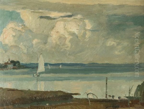 Bewolkte Seelandschaft Mit Segelbooten - view 1