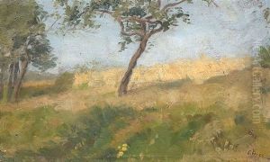 Sommerlandschaft Mit Baumen Sommerlandschaft Mit Baumen