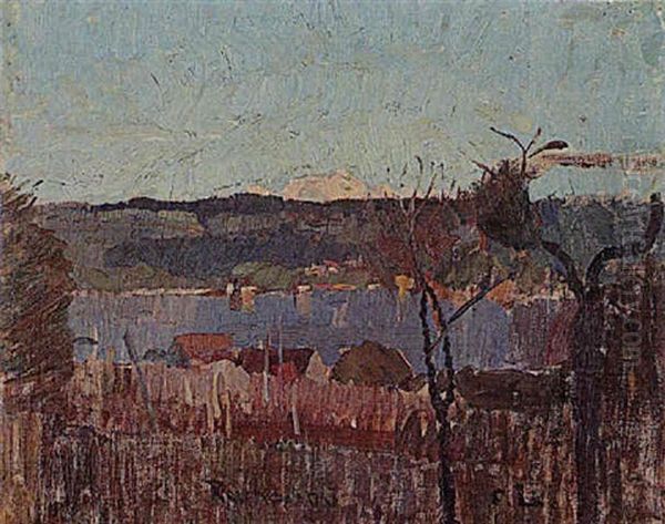Reichenau - view 1