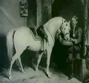Cromwellian Soldier Watering His Horse Cromwellian Soldier Watering His Horse