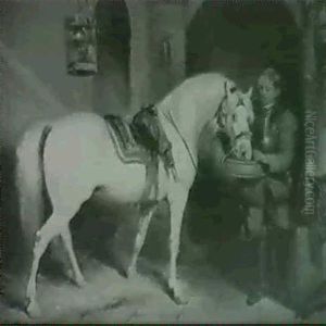 Cromwellian Soldier