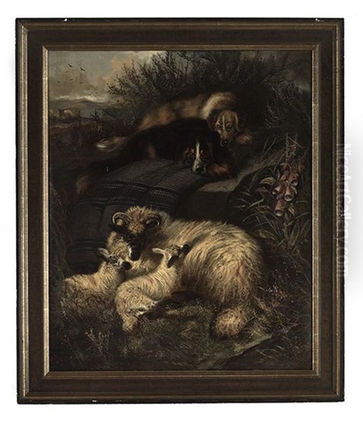 Two Dogs Guarding A Ewe And Her Two Lambs - view 1