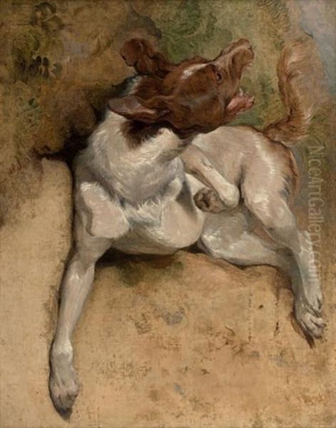 Etude De Chien - view 1