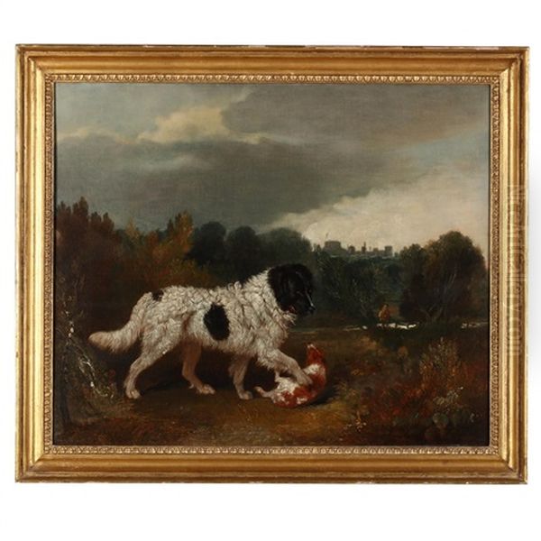 A Newfoundland And Spaniel In A Landscape - view 1