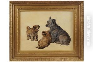 Study Of Dogs by Sir Edwin Henry Landseer