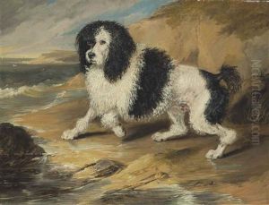 Tapageur, The Poodle Belonging To The Honorable Frederick Byng