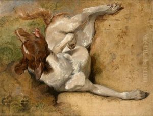 Etude De Chien by Sir Edwin Henry Landseer
