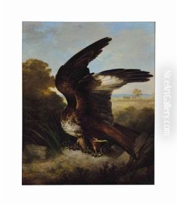A Snake In The Talons Of An Eagle