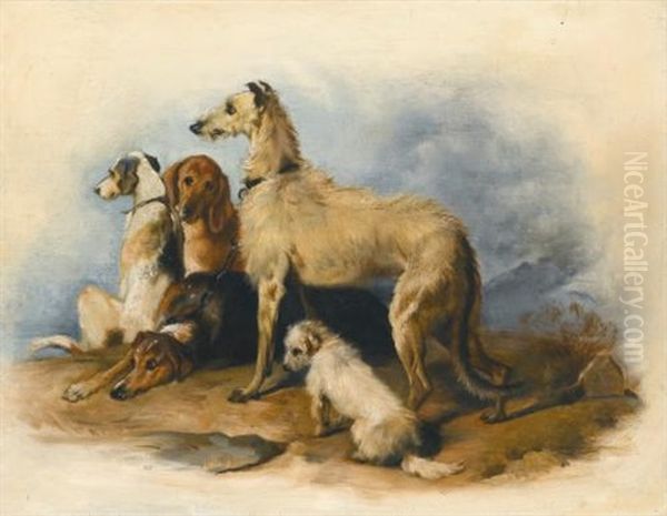 Highland Dogs (collab W/studio) - view 1