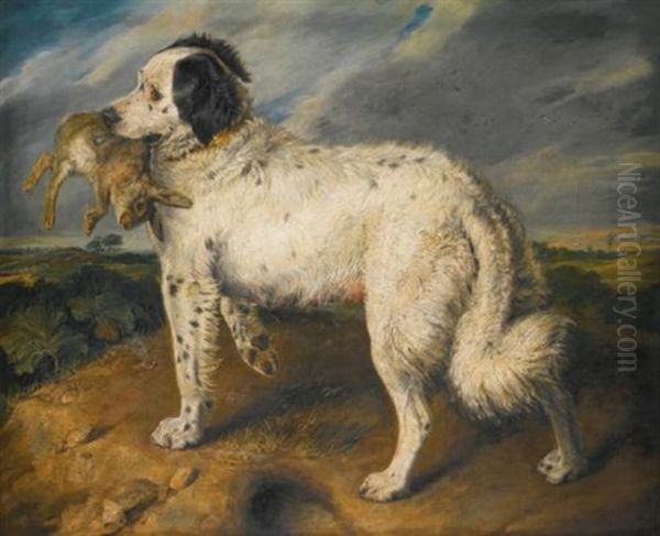 The Champion; Venus, A Landseer Newfoundland With A Rabbit - view 1