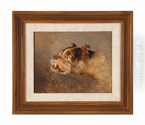 Study Of A Bulldog - view 1