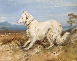 White Collie In A Landscape (sketch)