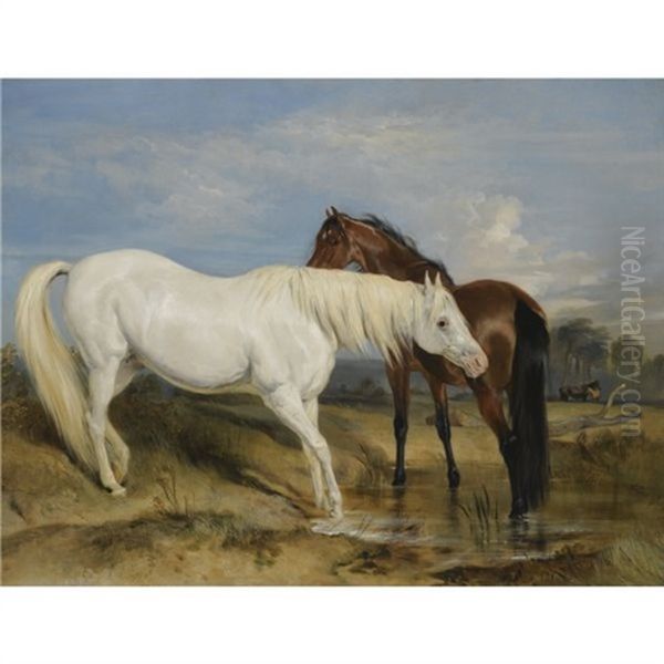 Portrait Of An Arab Mare With Her Foal - view 1