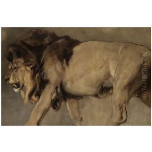 Study Of A Lion