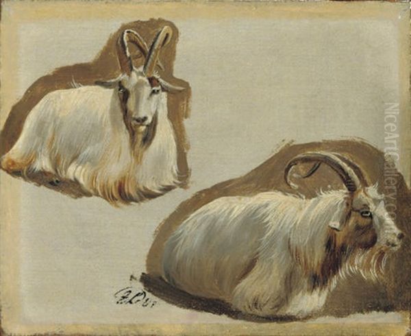 Ibex (study) - view 1