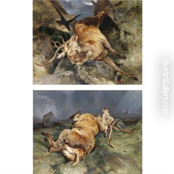 A Deer Fallen From A Precipice (+ A Deer Just Shot; Pair) - view 1