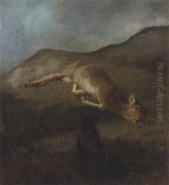 A Dead Deer On A Rock, With A Dog - view 1