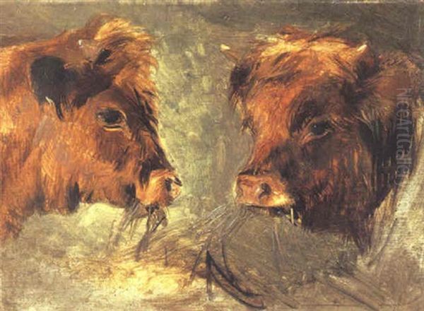 Two Heads Of Oxen - view 1
