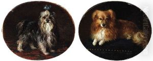 Yorkshire Terrier by Sir Edwin Henry Landseer