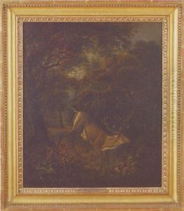 Landscape With Stag At Bay In A Dense Forest