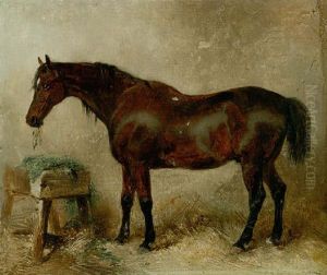 Lord Charles Russell's Charger "pretender" In A Stable