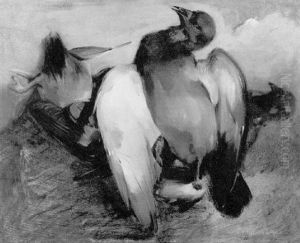 Pair Of Doves