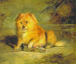 "vixen" A Scottish Terrier
