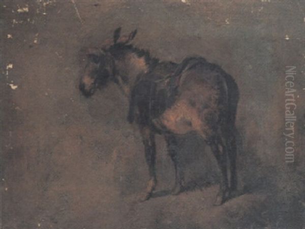 Study Of A Donkey - view 1