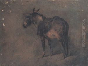 Study Of A Donkey Study Of A Donkey