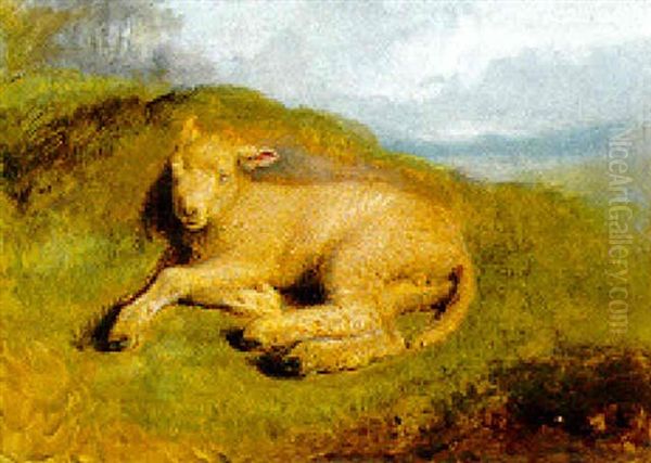 A Sleeping Lamb - view 1