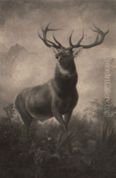 A Stag In A Landscape - view 1