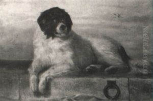 A Saint Bernard by Sir Edwin Henry Landseer