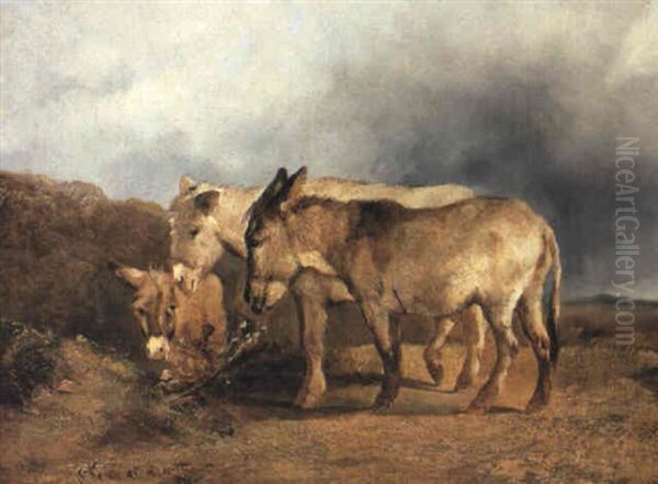 Three Donkeys On Hampstead Heath - view 1