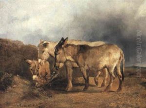 Three Donkeys On Hampstead Heath