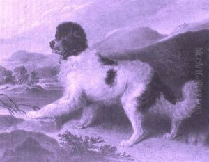 Newfoundland In A Landscape Near A Lake by Sir Edwin Henry Landseer