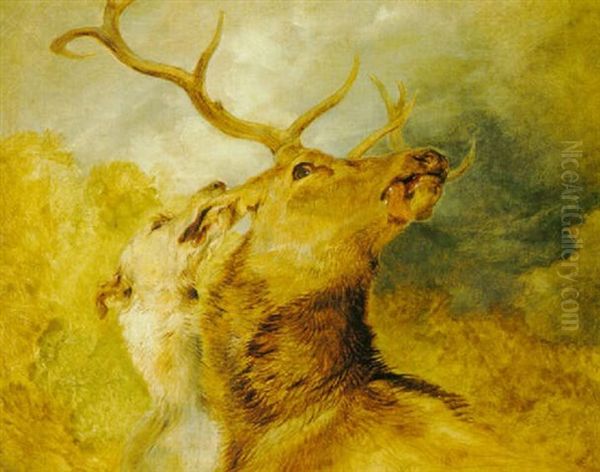 The Hunted Stag - view 1