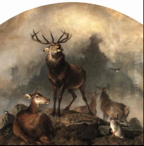 Scene In Braemar - Highland Deer - view 1