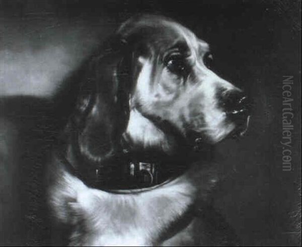 Head Of A Bloodhound - view 1