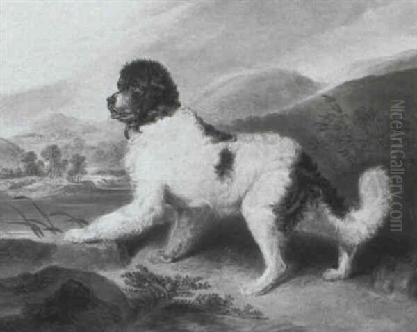 'lion', A Newfoundland, In A Landscape - view 1