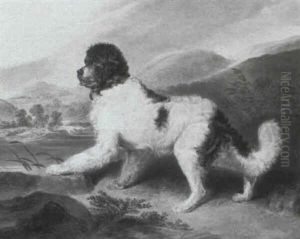 'lion', A Newfoundland, In A Landscape 'lion', A Newfoundland, In A Landscape
