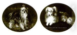 A Corgi A Terrier by Sir Edwin Henry Landseer