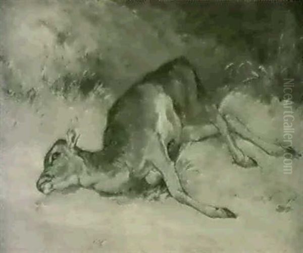 Wounded Deer - view 1