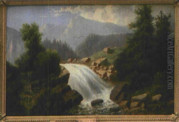 Der Prinser Fall In Der Schweiz - view 1