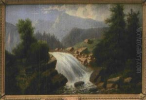 Der Prinser Fall In Der Schweiz