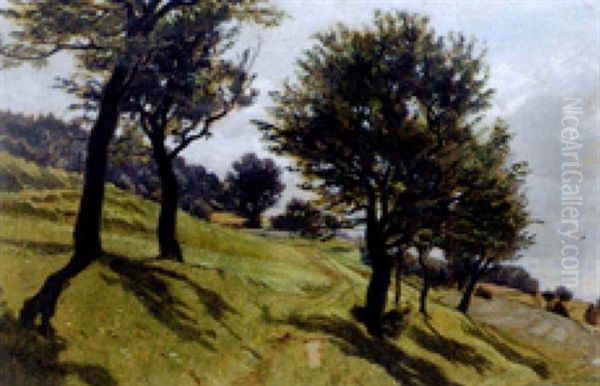 Wiesenpfad - view 1