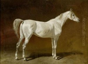 Bildnis Eines Weissen Pferdes by Heinrich Lang