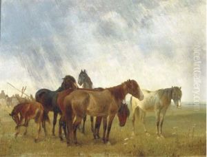 Horses In A Meadow Horses In A Meadow